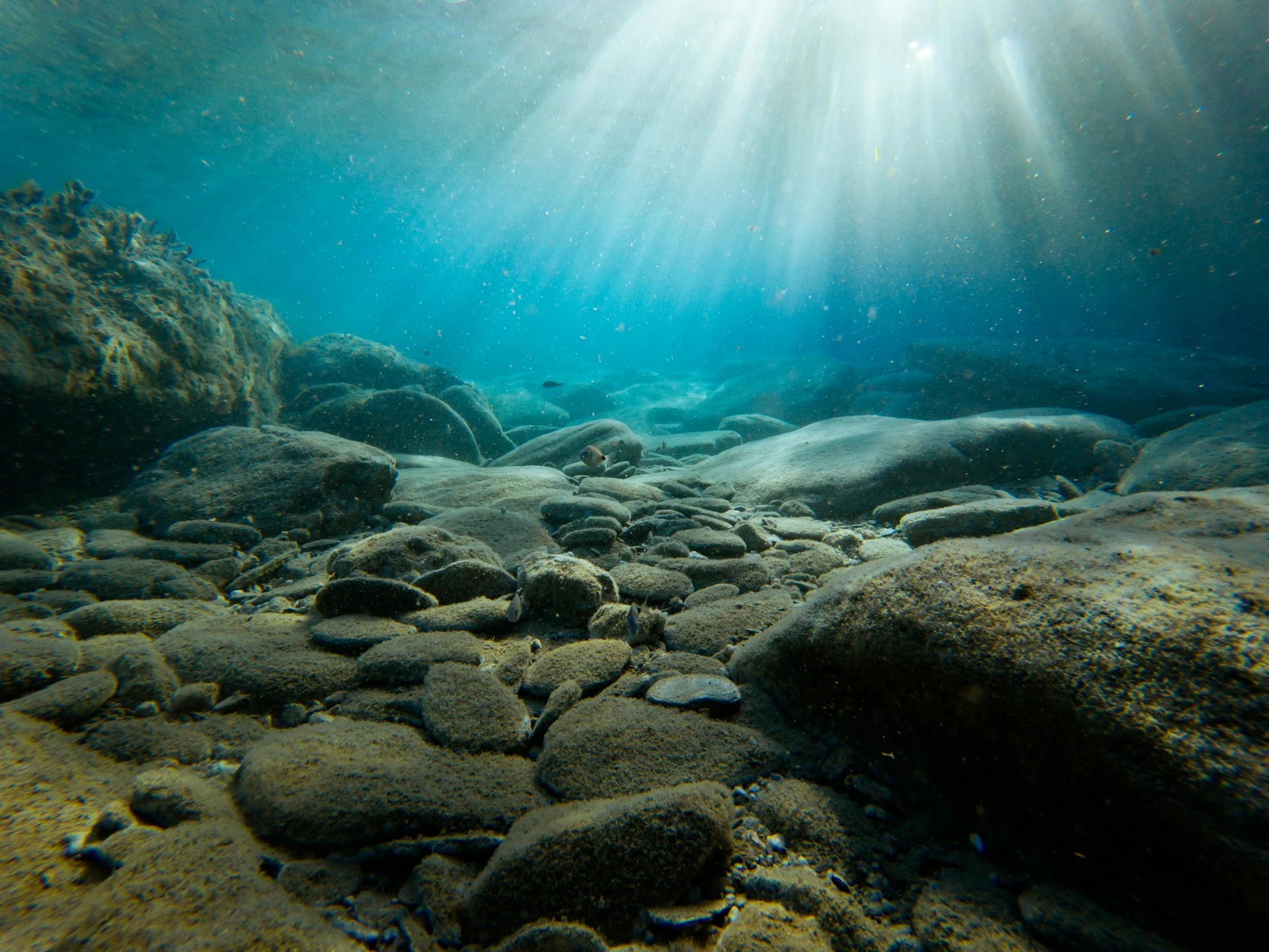 Cient&iacute;ficos Descubren Misteriosa Fuente de Ox&iacute;geno Producida en el Fondo del Mar