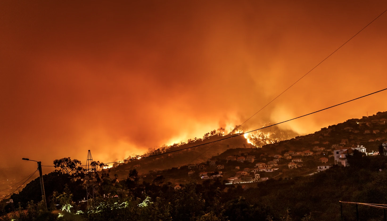 Google Lanza FireSat: Una Nueva Herramienta de IA Para la Detecci&oacute;n de Incendios Forestales