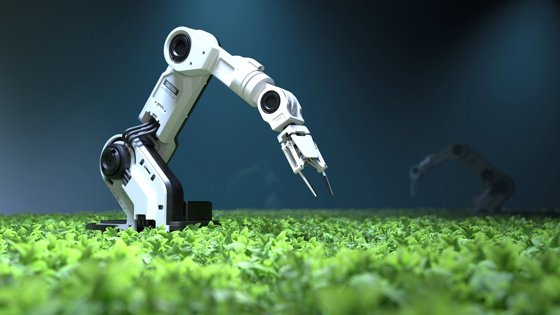 Robots que “sienten” con sonido podrían ayudar en el trabajo agrícola