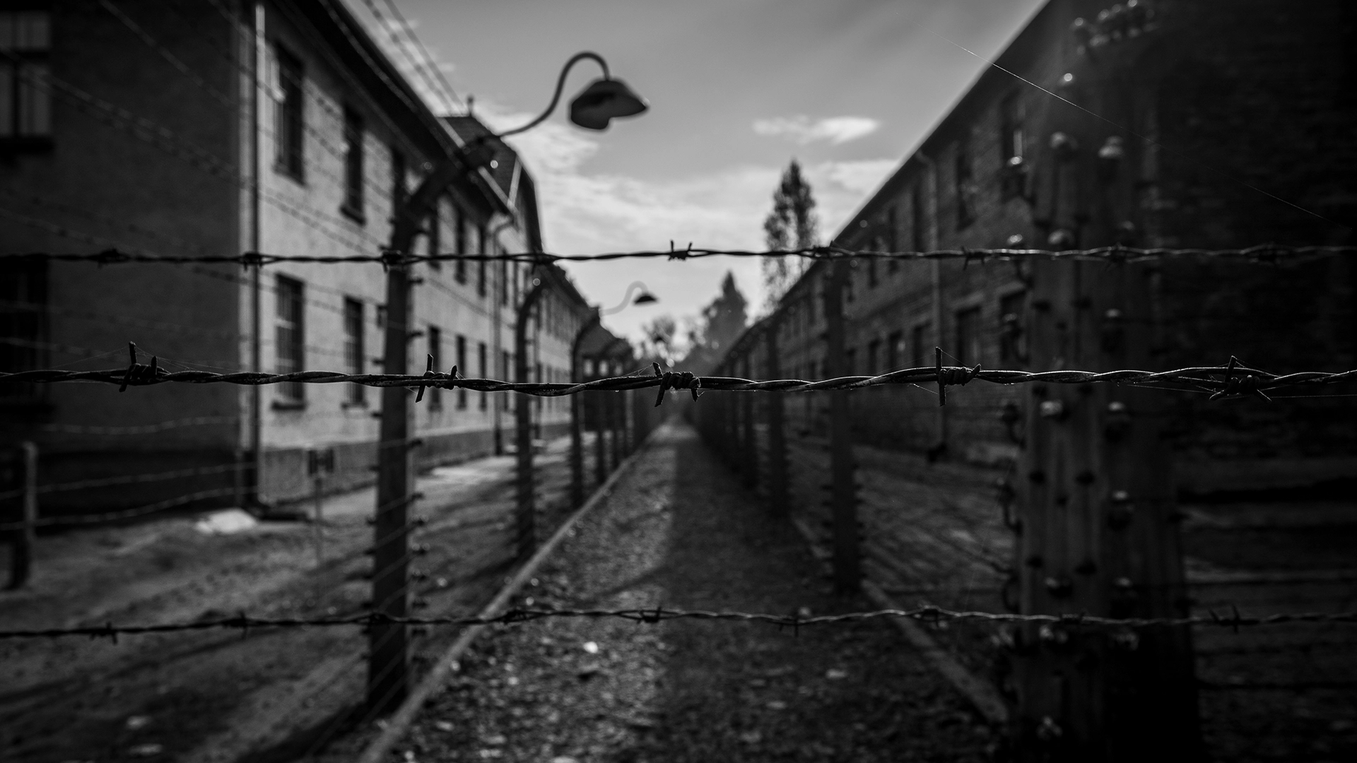 La BBC Desenmascara la Estafa de Im&aacute;genes del Holocausto por IA en Facebook